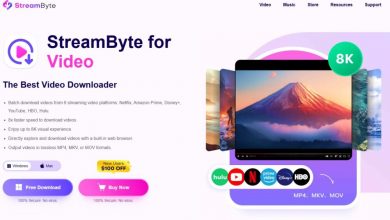 how-to-download-netflix-movies-to-mp4-–-streambyte-for-video-helps-you 