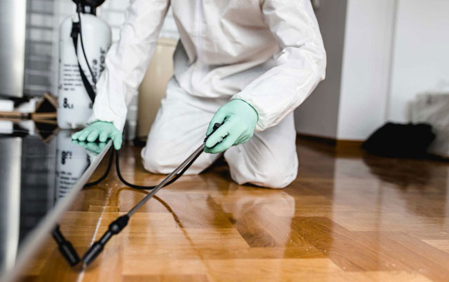 what-industry-is-pest-control