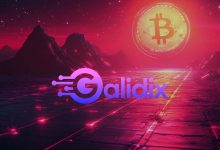 galidix-expands-support-team,-boosting-customer-capabilities