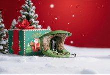 birdfy-smart-bird-feeders-bring-joy:-the-best-christmas-gift-for-grandparents
