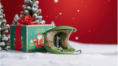 birdfy-smart-bird-feeders-bring-joy:-the-best-christmas-gift-for-grandparents
