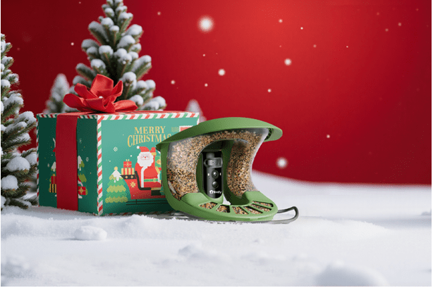 birdfy-smart-bird-feeders-bring-joy:-the-best-christmas-gift-for-grandparents